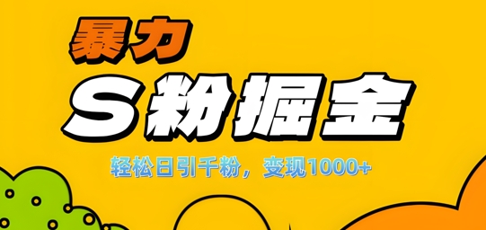 单人单机日引千粉，变现1k+，S粉流量掘金计划攻略【揭秘】-51资源库