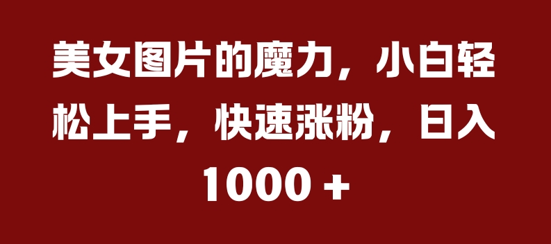 美女图片的魔力，小白轻松上手，快速涨粉，日入几张【揭秘】-51资源库
