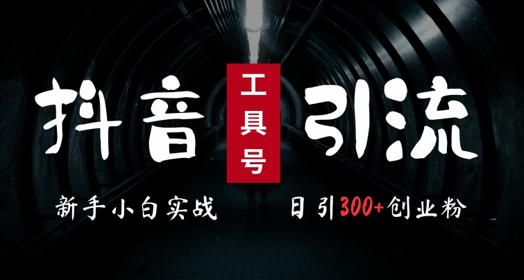 2024最新抖音工具号引流玩法，高效日引300+创业粉，当天变现5k，小白也可成为实战高手-51资源库