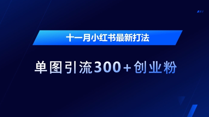 十一月小红书最新打法，单图引流300+创业粉【揭秘】-51资源库