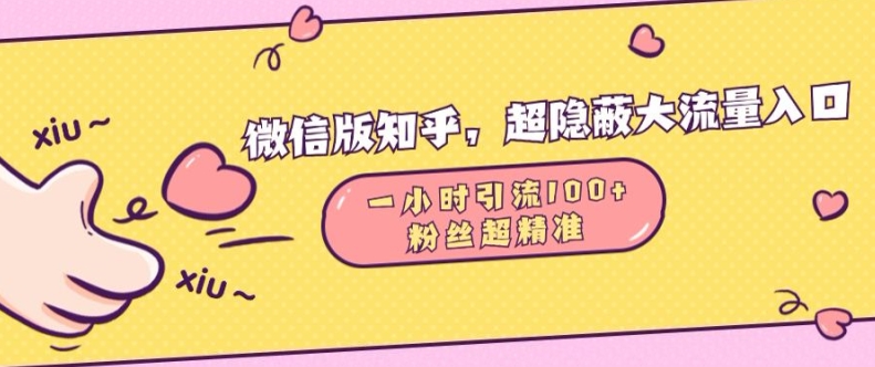 微信版知乎，超隐蔽流量入口1小时引流100人，粉丝质量超高【揭秘】-51资源库