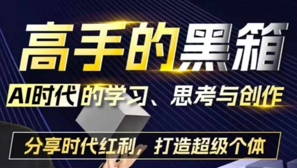 高手的黑箱：AI时代学习、思考与创作-分红时代红利，打造超级个体-51资源库