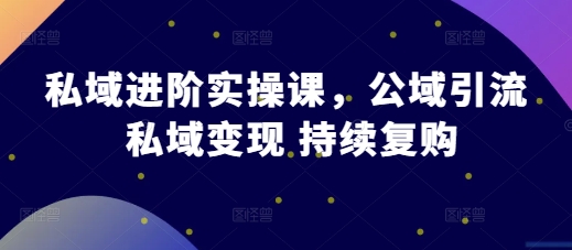 私域进阶实操课，公域引流 私域变现 持续复购-51资源库