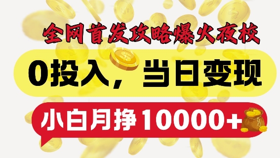全网首发爆火夜校，0投入，当日变现，小白轻松月入1w+【揭秘】-51资源库
