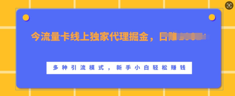 流量卡线上独家代理掘金，日入1k+ ，多种引流模式，新手小白轻松上手【揭秘】-51资源库