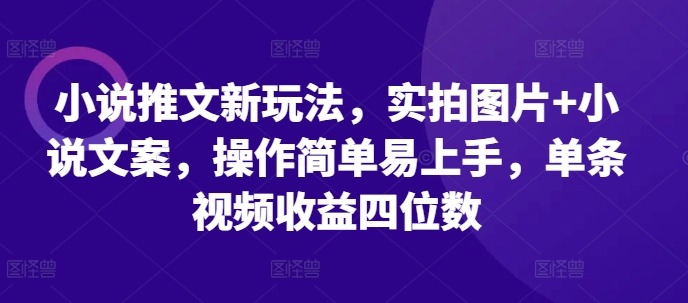 小说推文新玩法，实拍图片+小说文案，操作简单易上手，单条视频收益四位数-51资源库