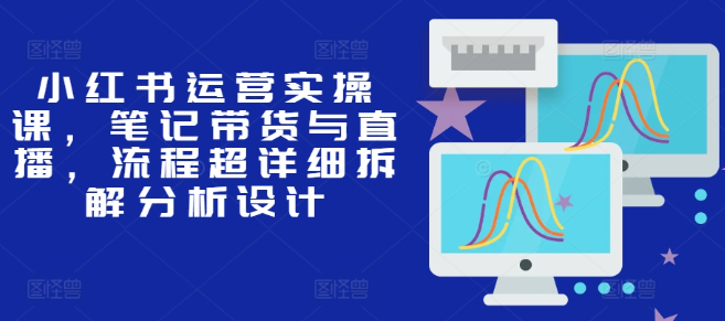小红书运营实操课，笔记带货与直播，流程超详细拆解分析设计-51资源库