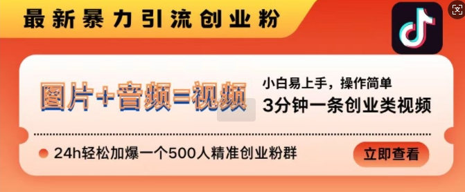 抖音最新暴力引流创业粉，3分钟一条创业类视频，24h轻松加爆一个500人精准创业粉群【揭秘】-51资源库