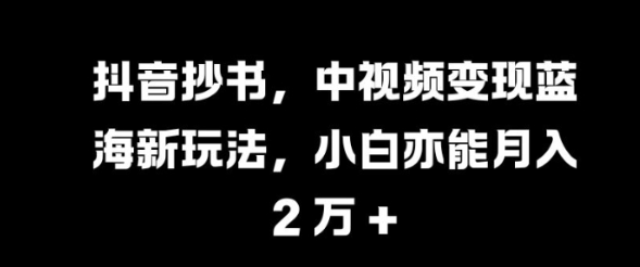 抖音抄书，中视频变现蓝海新玩法，小白亦能月入 过W【揭秘】-51资源库