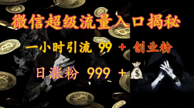 微信超级流量入口揭秘：一小时引流 99 + 创业粉，日涨粉 999 +-51资源库
