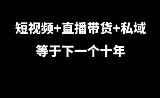 短视频+直播带货+私域等于下一个十年，大佬7年实战经验总结-51资源库