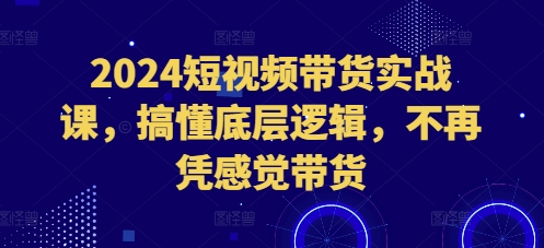 2024短视频带货实战课，搞懂底层逻辑，不再凭感觉带货-51资源库