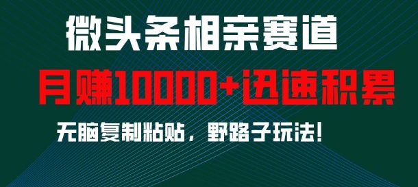 微头条相亲赛道，迅速积累，无脑复制粘贴，野路子玩法，月入1w-51资源库