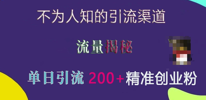 不为人知的引流渠道，流量揭秘，实测单日引流200+精准创业粉【揭秘】-51资源库