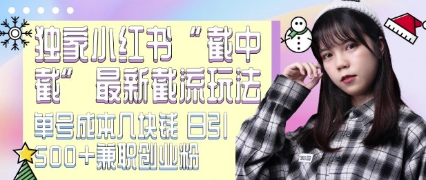 最新小红书截流玩法 独家截中截 单号成本几块钱 日引500+CY粉JZ粉-51资源库