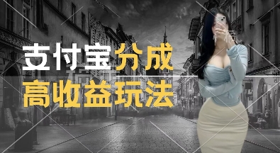 支付宝分成计划新玩法，利用交通事故视频，赚收益，轻松月入过W，操作简单【揭秘】-51资源库