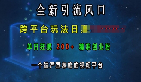 全新引流风口，跨平台玩法日入上k，单日狂揽200+精准创业粉，一个被严重忽略的视频平台-51资源库
