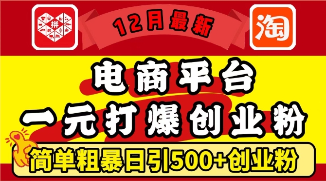 12月最新：电商平台1元打爆创业粉，简单粗暴日引500+精准创业粉，轻松月入过W【揭秘】-51资源库