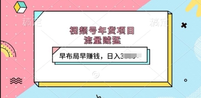 视频号年货项目，流量贼猛，早布局早挣钱，日入上k【揭秘】-51资源库