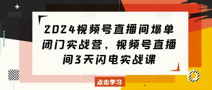 2024视频号直播间爆单闭门实战营，视频号直播间3天闪电实战课-51资源库