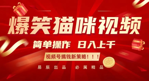 爆笑猫咪视频：简单操作，日入过K，视频号搞钱新策略【揭秘】-51资源库