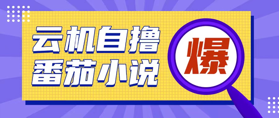 首发云手机自撸小说玩法，10块钱成本可撸200+收益操作简单【揭秘】-51资源库