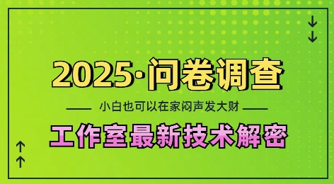 2025问卷调查最新工作室技术解密：一个人在家也可以闷声发大财，小白一天2张，可矩阵放大【揭秘】-51资源库