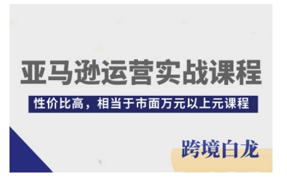 亚马逊运营实战课程，亚马逊从入门到精通，性价比高，相当于市面万元以上元课程-51资源库