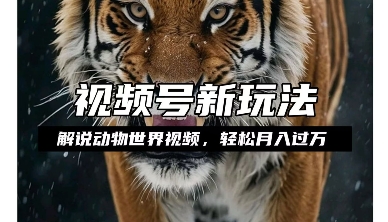 利用动物世界解说视频，赚分成计划收益，轻松月入过W，操作简单【揭秘】-51资源库