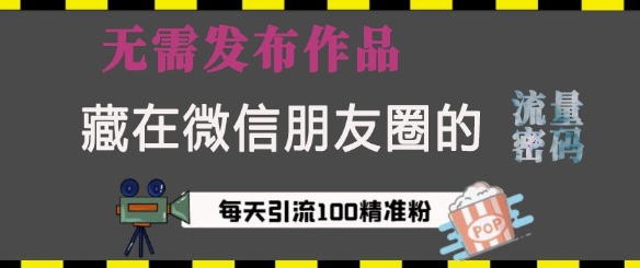 藏在微信朋友圈的流量密码，无需发布作品，单日引流100+精准创业粉【揭秘】-51资源库