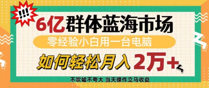 6亿群体蓝海市场，零经验小白用一台电脑，如何轻松月入过w【揭秘】-51资源库