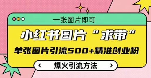 小红书图片‘求带’爆火引流法，单张图片引流500+精准创业粉【揭秘】-51资源库