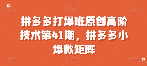 拼多多打爆班原创高阶技术第41期，拼多多小爆款矩阵-51资源库