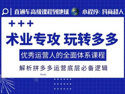 术业专攻玩转多多，优秀运营人的全面体系课程，解析拼多多运营底层必备逻辑-51资源库