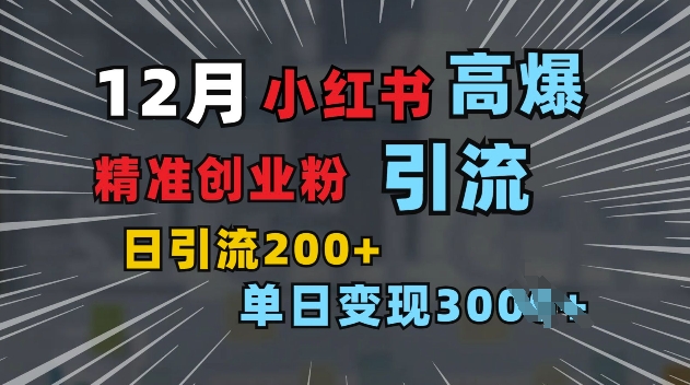 小红书一张图片“引爆”创业粉，单日+200+精准创业粉 可筛选付费意识创业粉【揭秘】-51资源库