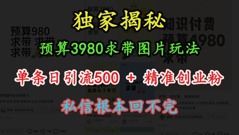 预算3980求带 图片玩法，单条日引流500+精准创业粉，私信根本回不完-51资源库
