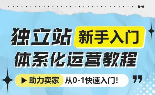 独立站新手入门体系化运营教程，助力独立站卖家从0-1快速入门!-51资源库
