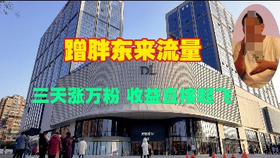 蹭胖东来流量，三天涨万粉，收益直接起飞-51资源库