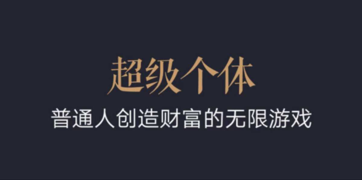 超级个体：2024-2025翻盘指南，普通人创造财富的无限游戏-51资源库