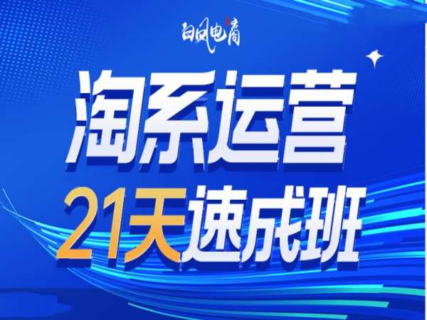 淘系运营21天速成班35期，年前最后一波和2025方向-51资源库