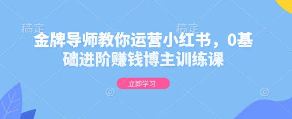 金牌导师教你运营小红书，0基础进阶赚钱博主训练课-51资源库
