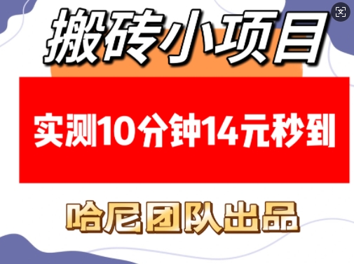 搬砖小项目，实测10分钟14元秒到，每天稳定几张(赠送必看稳定)-51资源库