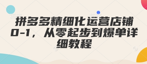 拼多多精细化运营店铺0-1，从零起步到爆单详细教程-51资源库