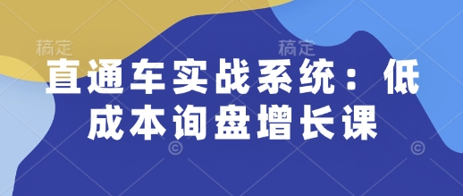 直通车实战系统：低成本询盘增长课，让个人通过技能实现升职加薪，让企业低成本获客，订单源源不断-51资源库