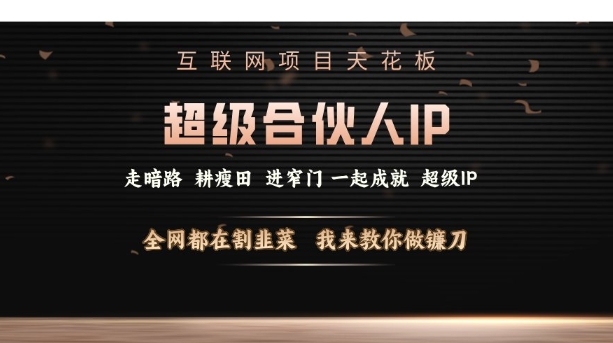 互联网项目天花板，超级合伙人IP，全网都在割韭菜，我来教你做镰刀【仅揭秘】-51资源库