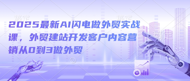 2025最新AI闪电做外贸实战课，外贸建站开发客户内容营销从0到3做外贸-51资源库