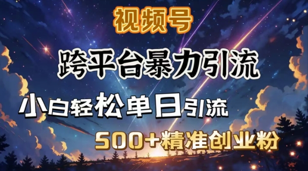 跨平台暴力引流，私域完美闭环，日引500+精准创业粉-51资源库