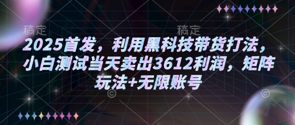 2025首发，利用黑科技带货打法，小白测试当天卖出3612利润，矩阵玩法+无限账号【揭秘】-51资源库