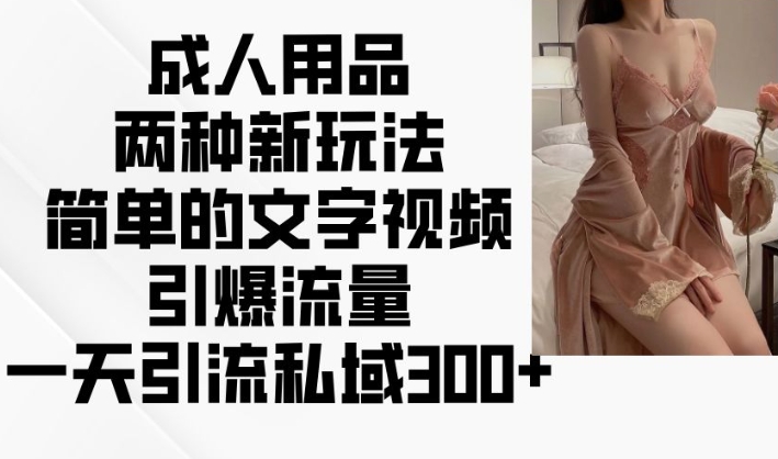 成人用品两种新玩法，简单的文字视频引爆流量，一天引流私域300+-51资源库