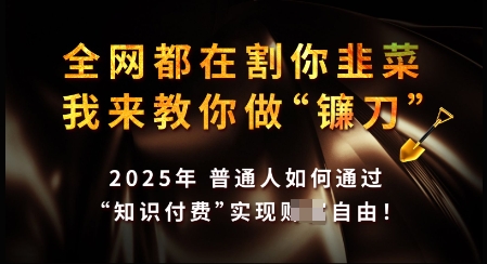 知识付费如何做到月入过W+，2025我来教你做“镰刀”【揭秘】-51资源库